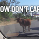 Illustration for article titled A Guide To Driving In India Without Dying